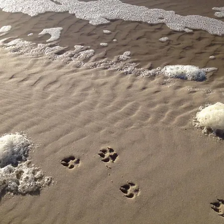 Michels Inselhotel Vier Jahreszeiten 3* ノルダーナイ