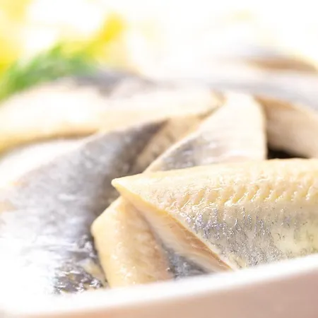 Michels Inselhotel Vier Jahreszeiten Отель