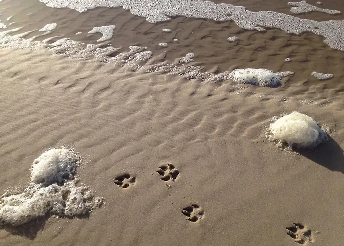 Michels Inselhotel Vier Jahreszeiten 3* Нордерней